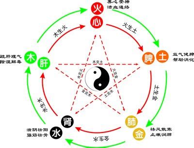 桐 五行|桐五行属什么